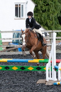 Class 4 - Fences 2'3 to 2'6